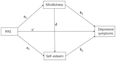 Associations between parental autonomy support and depressive symptoms among Chinese college students: the chain-mediating effects of mindfulness and self-esteem